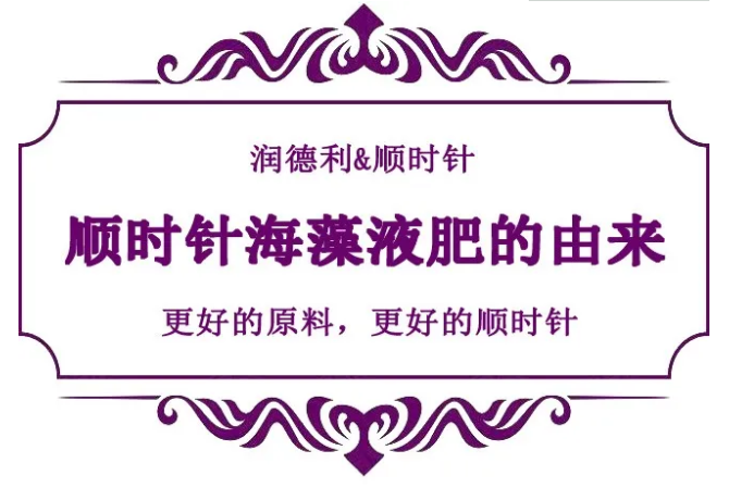 1608456839111640.png a40313998f636884a00d40e92d65298.png
