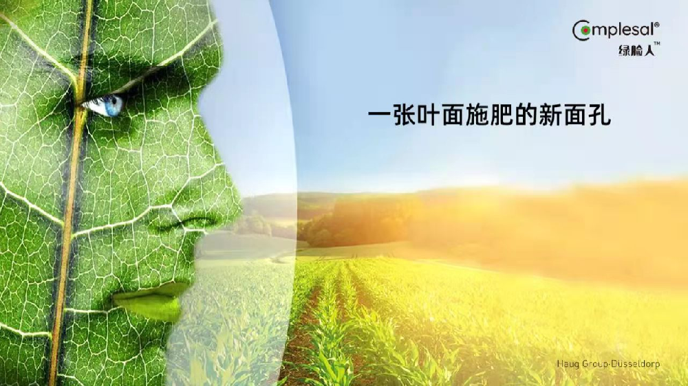 1640875731648965.png image.png