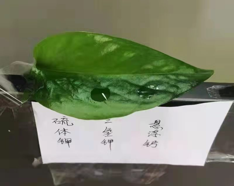 1640877036176780.png image.png